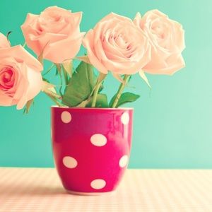 Meet your Posher, Brandy